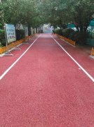 校園道路